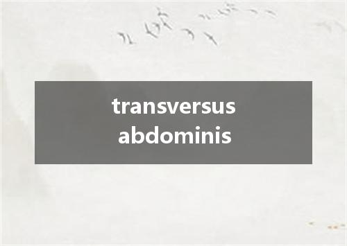 transversus abdominis是什么意思