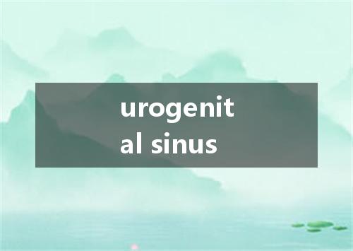 urogenital sinus是什么意思