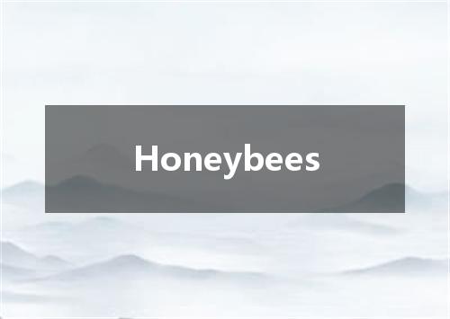 Honeybees是什么意思
