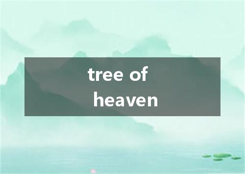 tree of heaven是什么意思