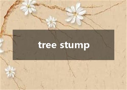 tree stump是什么意思