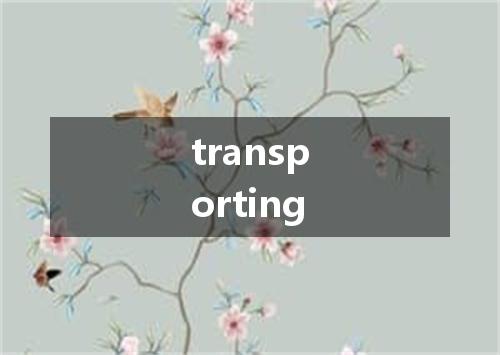 transporting是什么意思