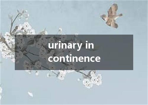 urinary incontinence是什么意思