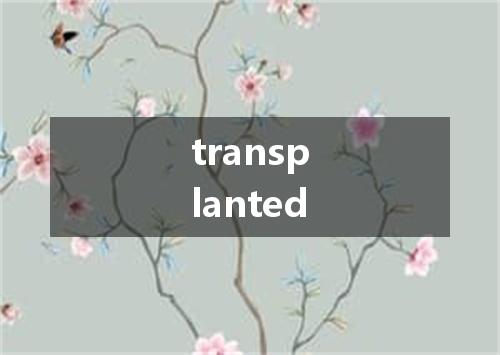 transplanted是什么意思