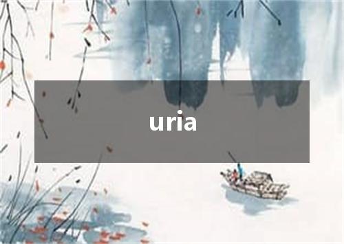 uria是什么意思