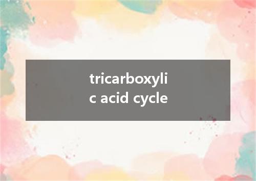 tricarboxylic acid cycle是什么意思