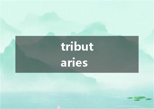 tributaries是什么意思