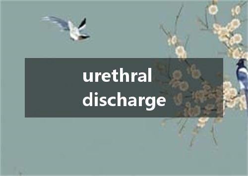 urethral discharge是什么意思