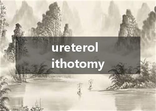 ureterolithotomy是什么意思