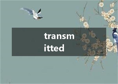 transmitted是什么意思