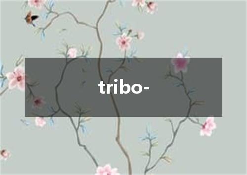 tribo-是什么意思