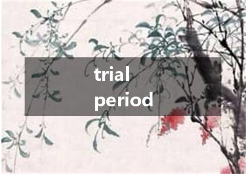 trial period是什么意思