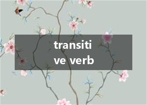 transitive verb是什么意思