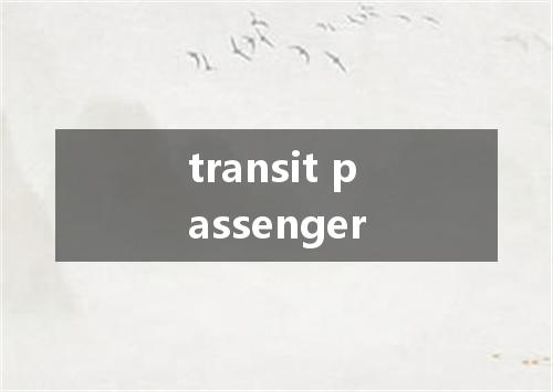 transit passenger是什么意思