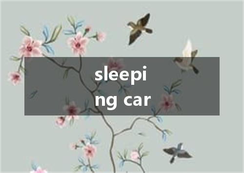 sleeping car是什么意思