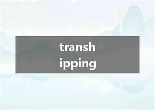 transhipping是什么意思
