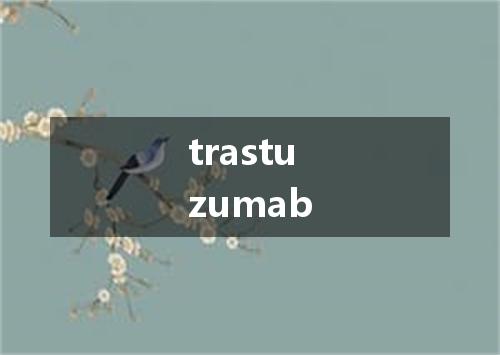 trastuzumab是什么意思