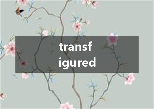 transfigured是什么意思