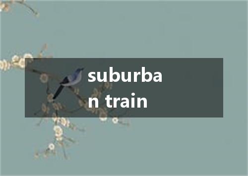 suburban train是什么意思