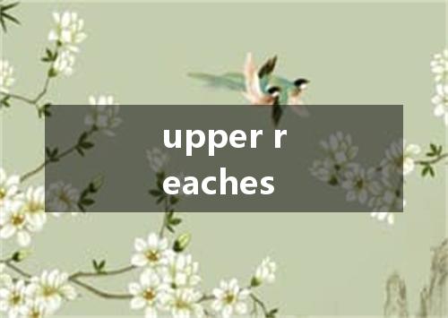 upper reaches是什么意思