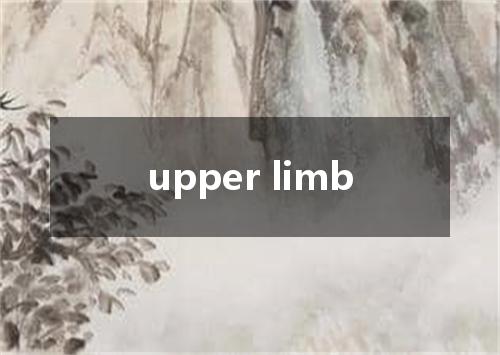 upper limb是什么意思