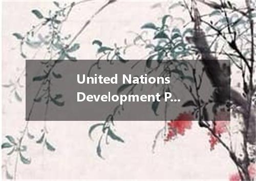 United Nations Development Program是什么意思