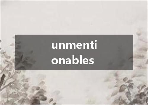 unmentionables是什么意思