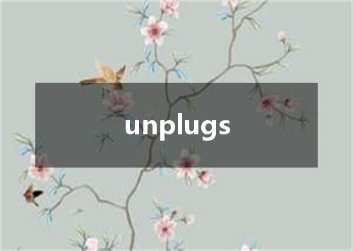 unplugs是什么意思