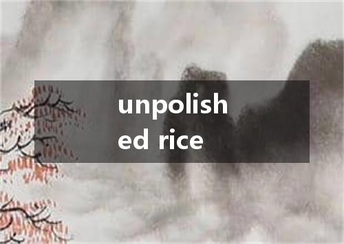 unpolished rice是什么意思