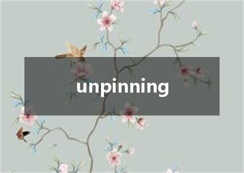 unpinning是什么意思