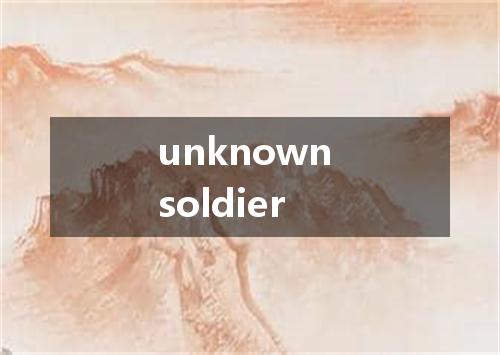 unknown soldier是什么意思