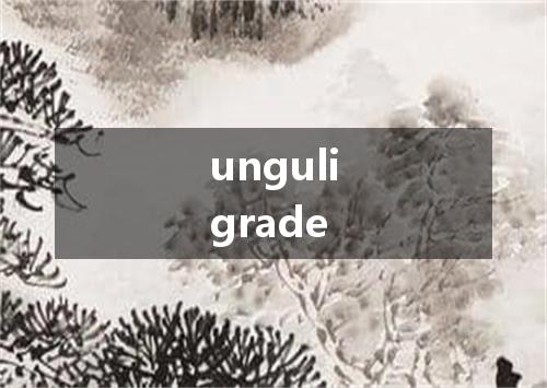 unguligrade是什么意思