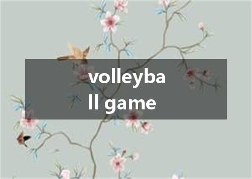 volleyball game是什么意思