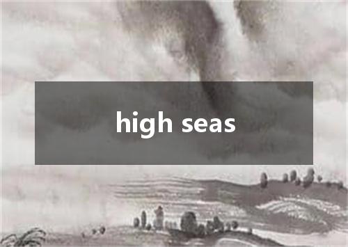 high seas是什么意思