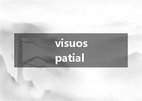 visuospatial是什么意思