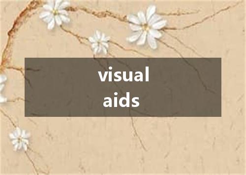 visual aids是什么意思