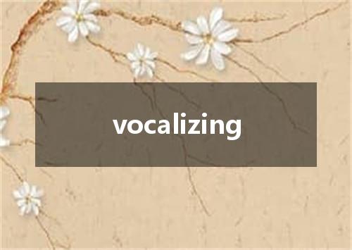 vocalizing是什么意思