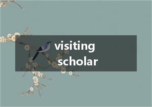visiting scholar是什么意思