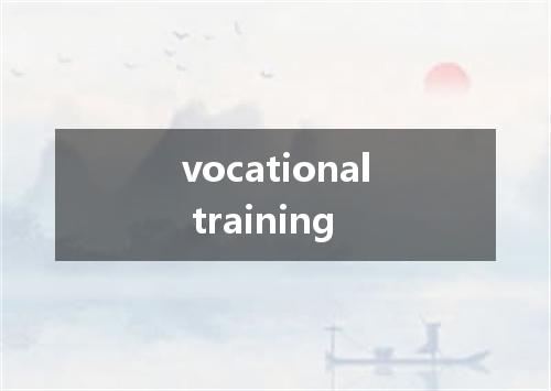 vocational training是什么意思