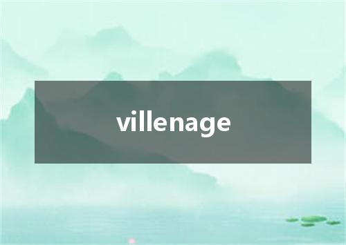 villenage是什么意思