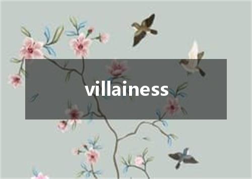 villainess是什么意思