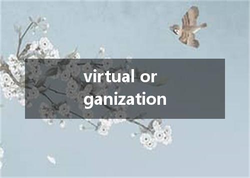 virtual organization是什么意思
