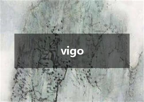 vigo是什么意思
