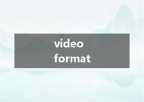video format是什么意思