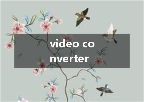 video converter是什么意思
