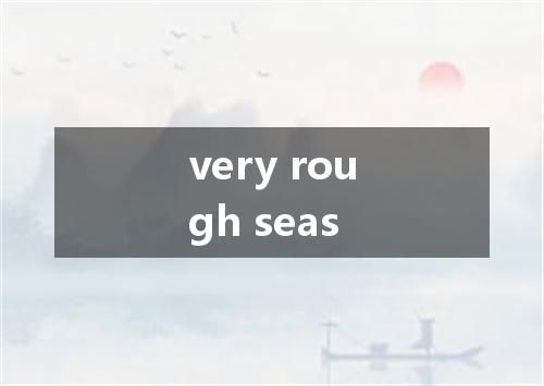 very rough seas是什么意思