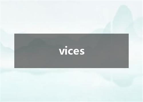 vices是什么意思
