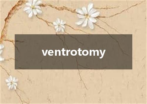 ventrotomy是什么意思