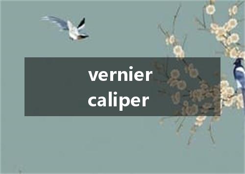 vernier caliper是什么意思