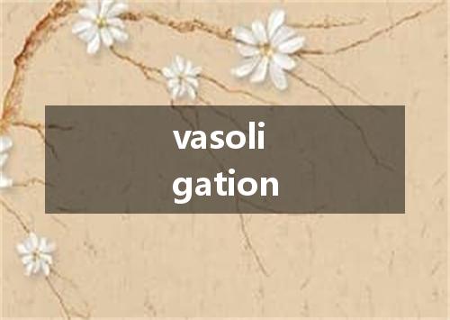 vasoligation是什么意思